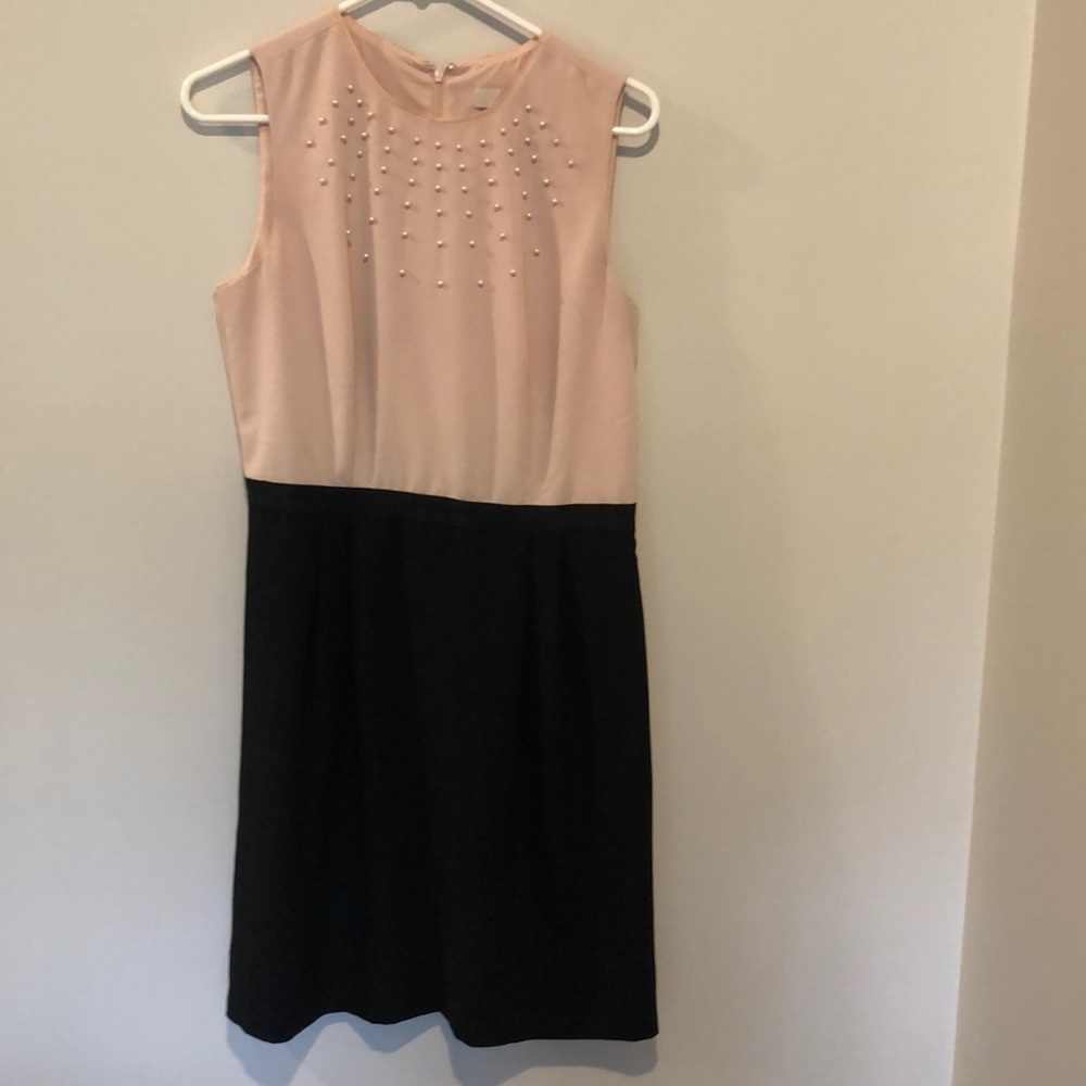 Loft cream/black dress. Size 6